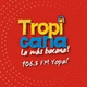 Tropicana Casanare logo