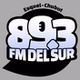 FM Del Sur 89.3 logo