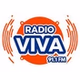 Radio VIVA 91.1 logo