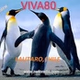 VIVA80 logo