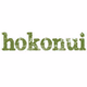 Logo de Hokonui Southland
