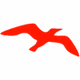 Red Gull Talk Radio (RGTR) logo