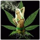 Kentucky Weed Radio logo
