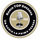 Radio Top Suceava logo
