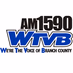 Logo de AM 1590 & FM 95.5 WTVB - WTVB
