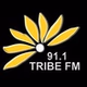 Tribe FM 91.1 logo