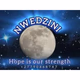 Logo de Nwedzini community radio