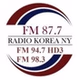 라디오 코리아 뉴욕 - WXBK-HD3 logo