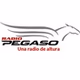 Radio Pegaso logo