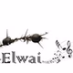 Elwai Visitor Centre Radio logo