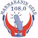 Dolunay Radyo logo