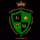 Gabystereo logo
