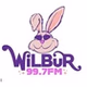99.7 WiLBuR Radio - WLBR logo
