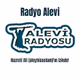 Logo de Radyo Alevi