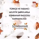 Karnaval - Sonbahar logo