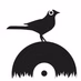 The Backyard Project Radio logo