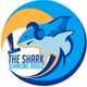 Simmons Radio logo