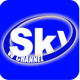 Logo de Sky W Channel