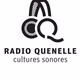Logo de Radio Quenelle