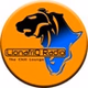 LionafriQ Radio logo