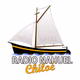 Logo de Radio Nahuel