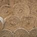 The Hayseed logo