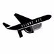 Logo de Flight 411