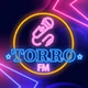 Torrofm logo