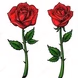 RoseMIX logo