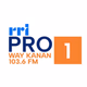 Logo de RRI - Pro 1 Way kanan