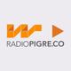 Logo de Radio Pigreco