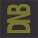DNB Station logo