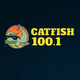 Logo de Catfish 100.1 - WTBC
