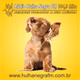 Rádio Hulha Negra FM logo