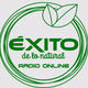 Logo de Éxito Natural