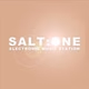 Logo de Salt One
