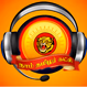 Naam Tamilar FM logo