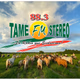 Logo de Tame Fm Stereo 88.3