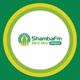 Logo de Shamba Fm Radio