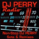 DJ Perry Radio logo