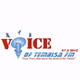 Voice of Tembisa logo