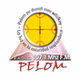 Radio Pelom FM logo