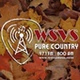 Pure Country - WSVS logo