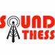 Sound Thess logo