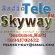 Logo de Radio Tele Skyway