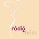 Rádió Bézs logo