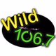 Wild 106.7 logo