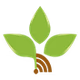 راديو الحياة الجديدة logo
