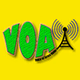 VOICE OF AFRICA logo