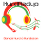 Kurdradyo logo